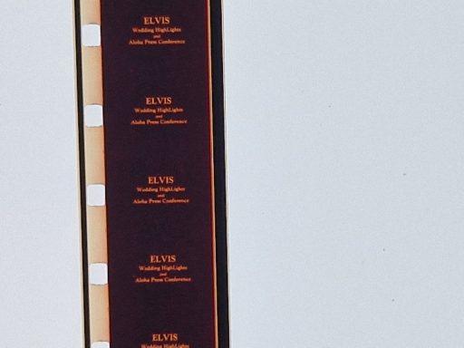 The Films